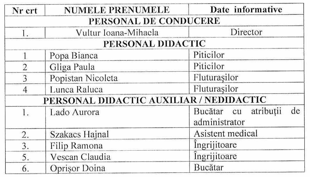 Cadre didactice repartizate pe grupe creșă